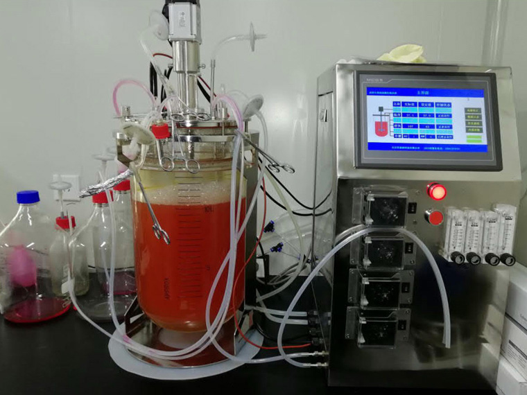 发酵罐工作原理拆解:从罐体结构到控温系统的核心逻辑