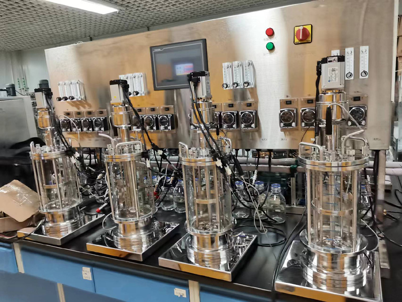 һ���ĵ��㲣�����͹�