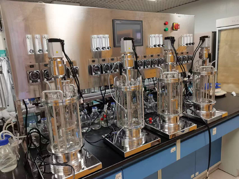 ��λ������㲣�����͹�