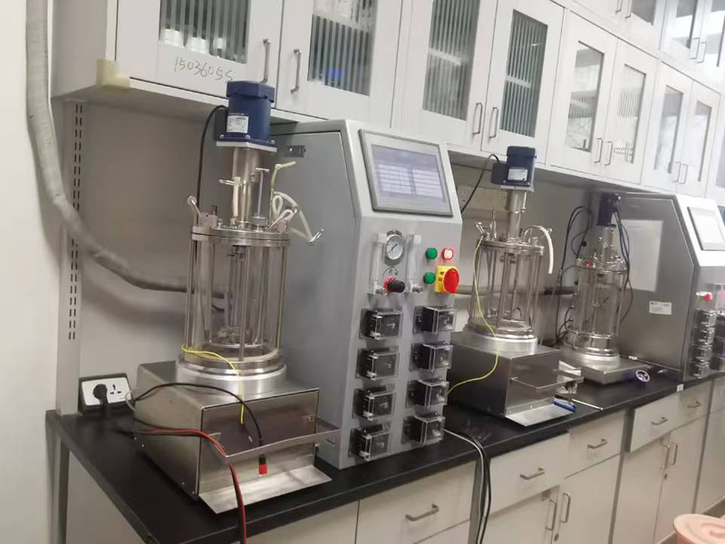 发酵罐安装与调试:从场地规划到空载运行的全流程