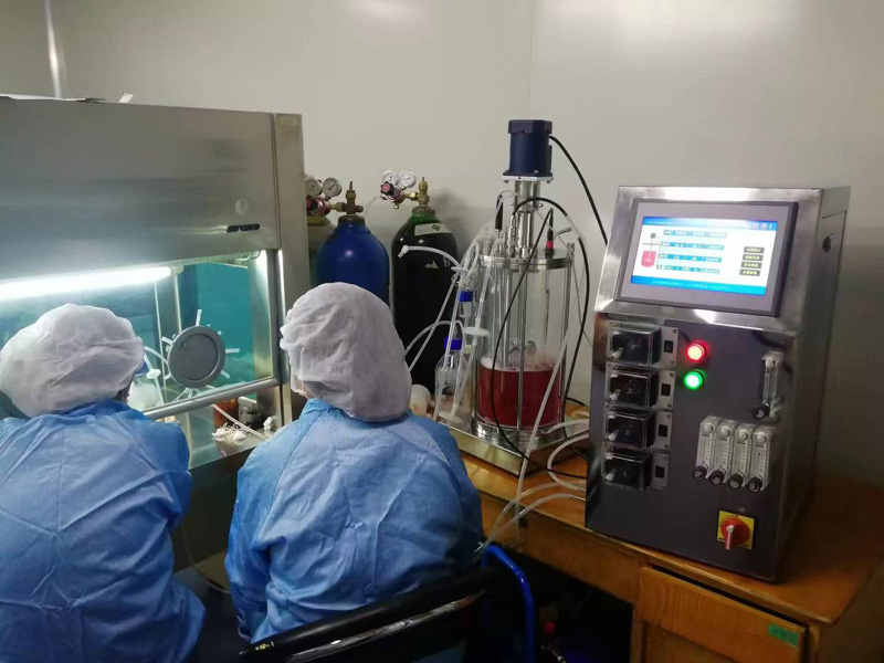 �������ò������͹�