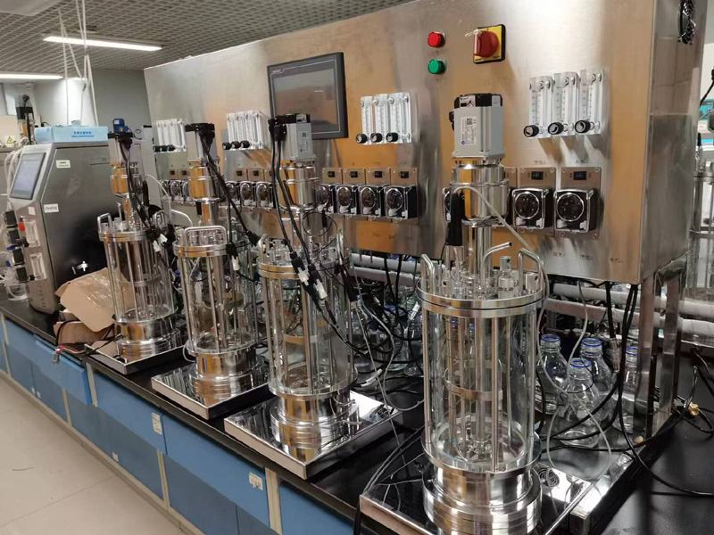 �������͹�