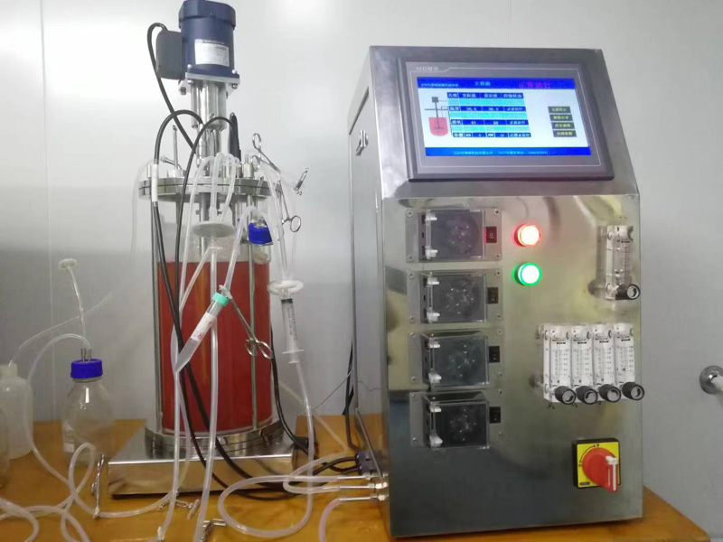 ���㲣�����͹޶���