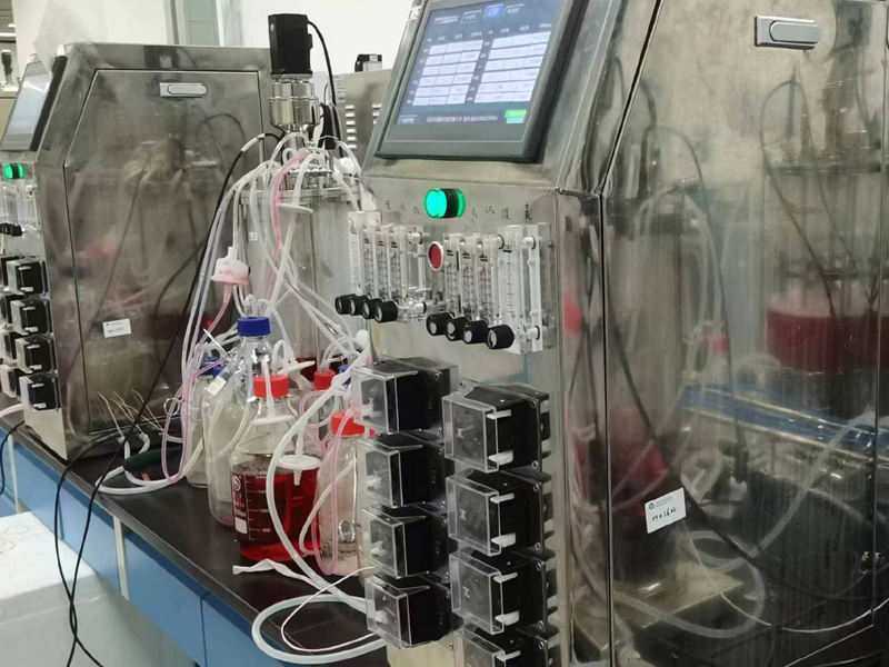 �������͹�