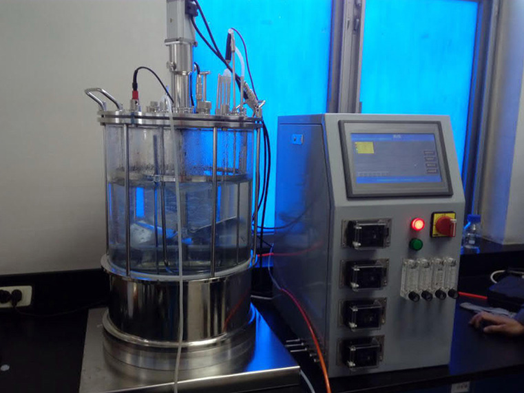 10�����㲣�����͹�