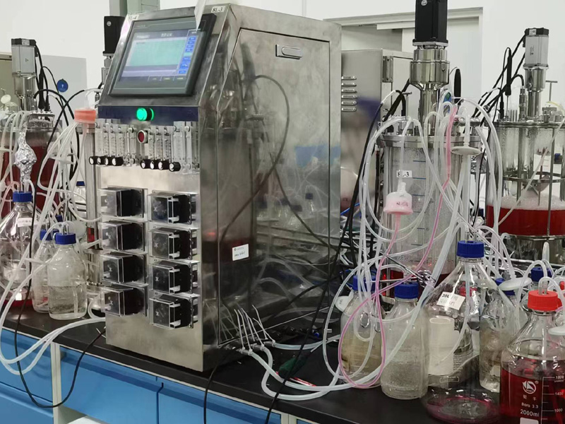 10L���㲣�����͹�