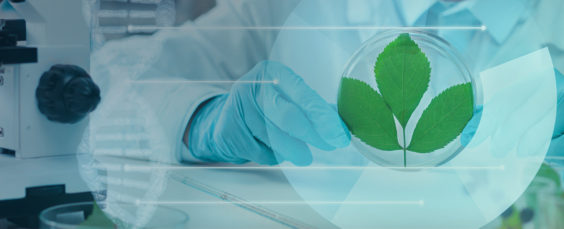 ���﷢���豸�������-����Ʒ